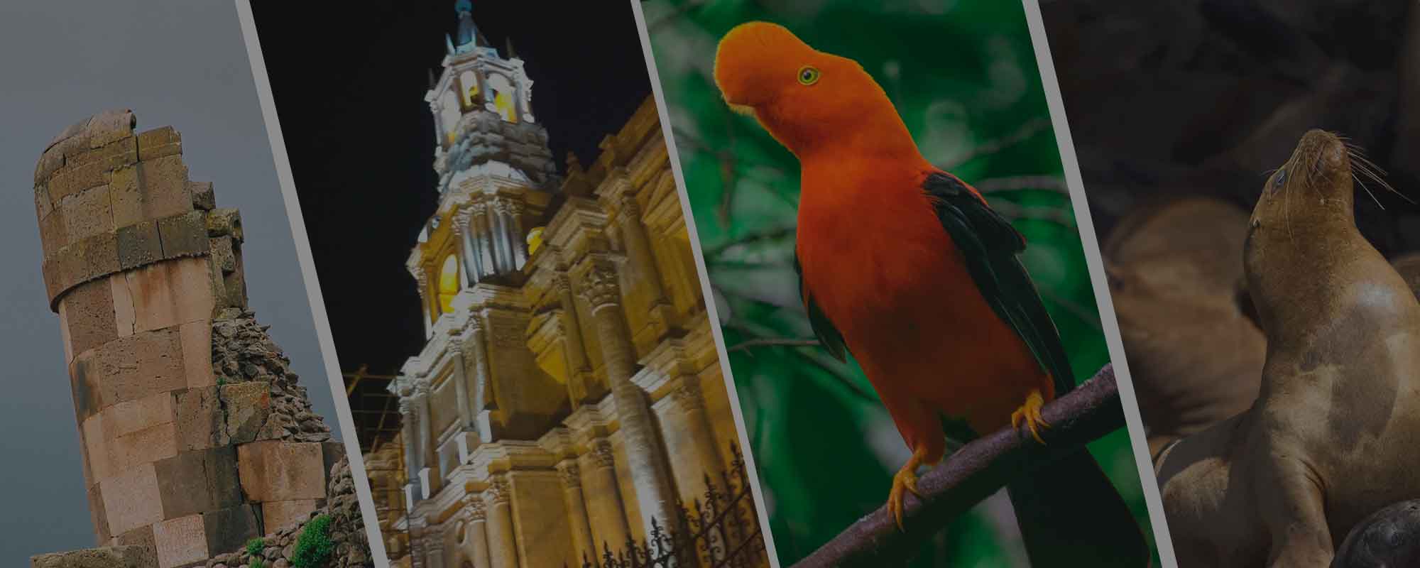 Peru Tours